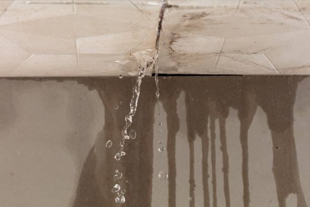 Professional Water Damage Inspection technician working in Saegertown, PA